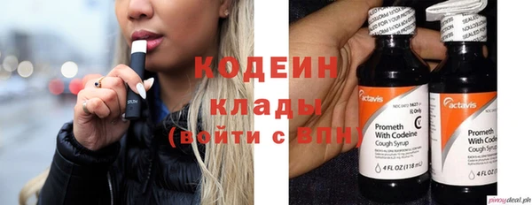 СК Горнозаводск