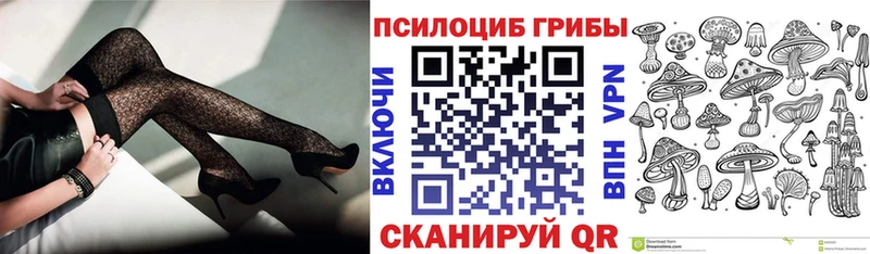 Псилоцибиновые грибы прущие грибы  дарк нет официальный сайт  Владикавказ 
