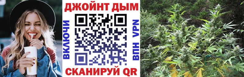 Каннабис сатива  купить   блэк спрут сайт  Владикавказ 